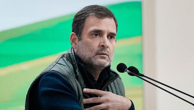 Rahul Gandhi may return to India from his personal foreign trip in second week of January : Report