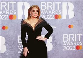 Adele gets angry at security for bothering a fan at her show