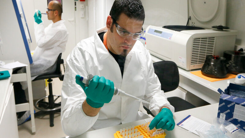 This gut molecule shows remarkable anti-diabetes power: Study