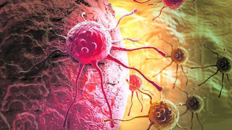 What’s the difference between a tumour and cancer?
