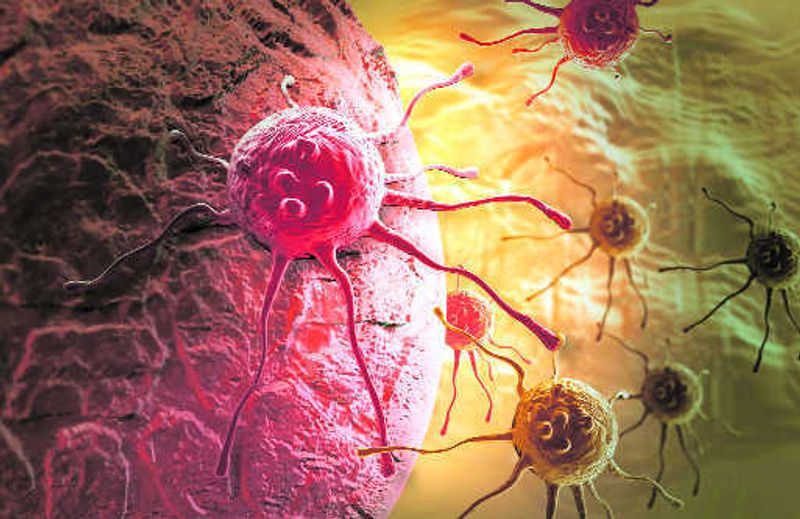 What’s the difference between a tumour and cancer?